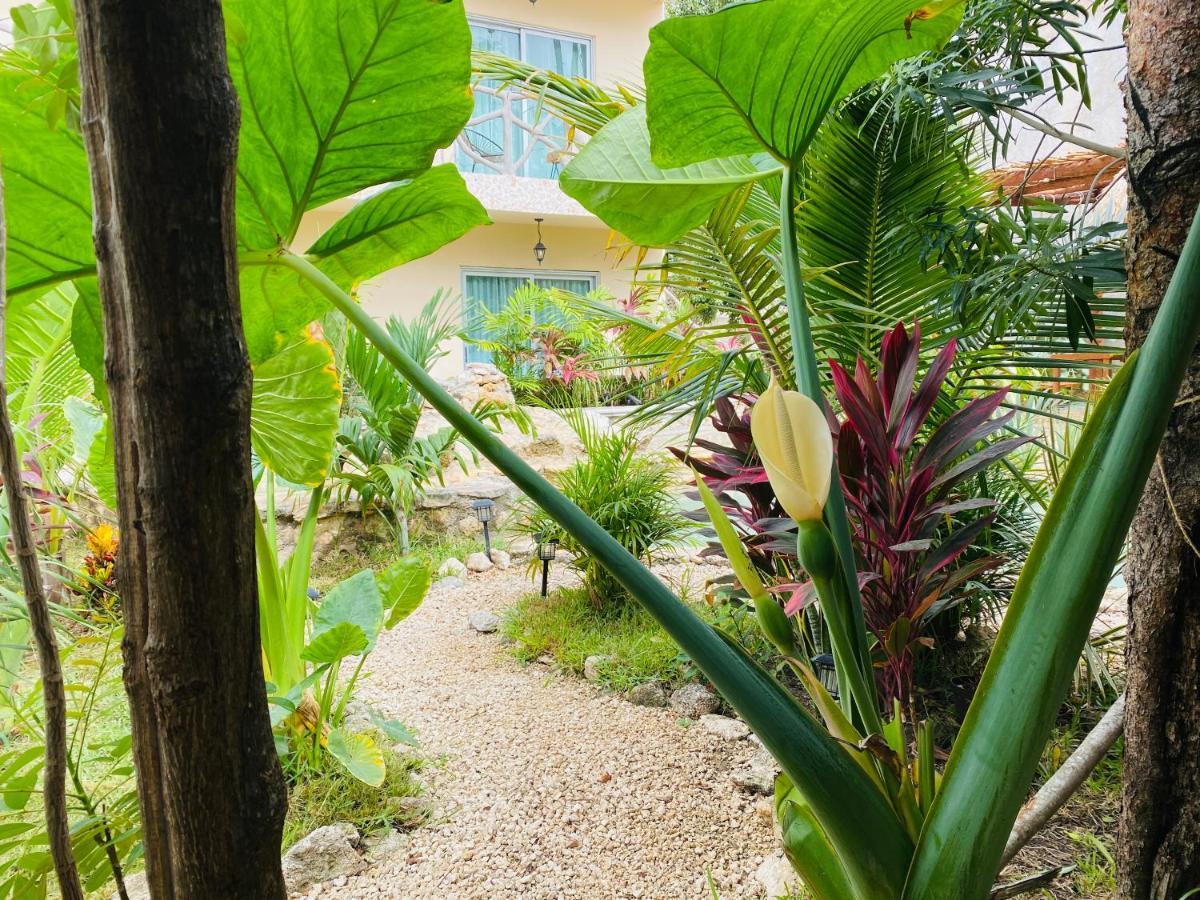 Apartament Jaakbal Tulum Zewnętrze zdjęcie